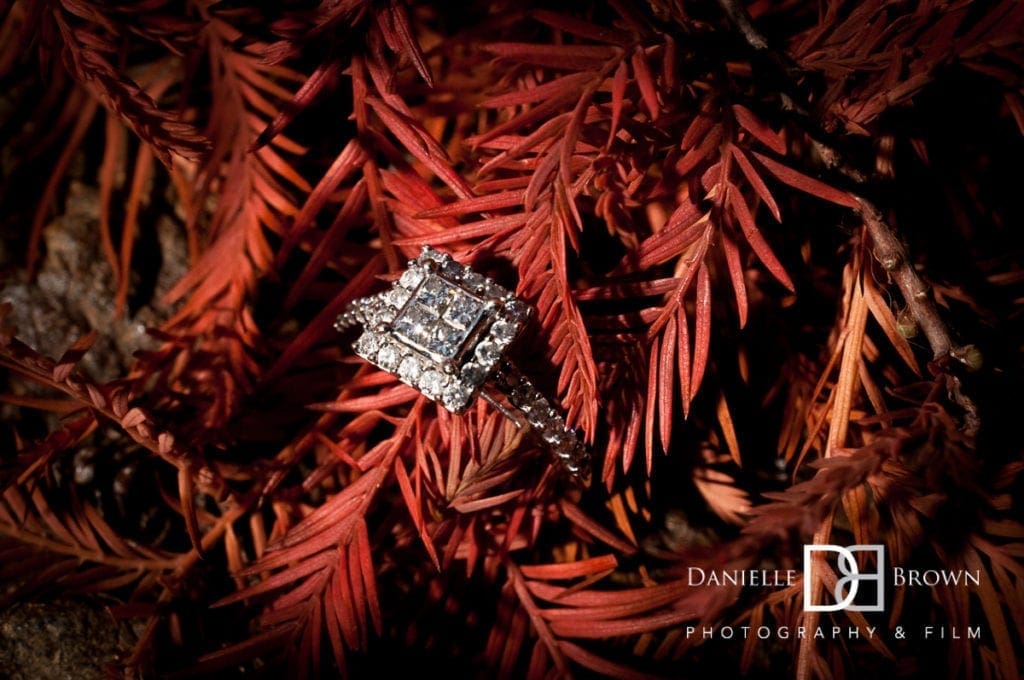 engagement photography ropemill park